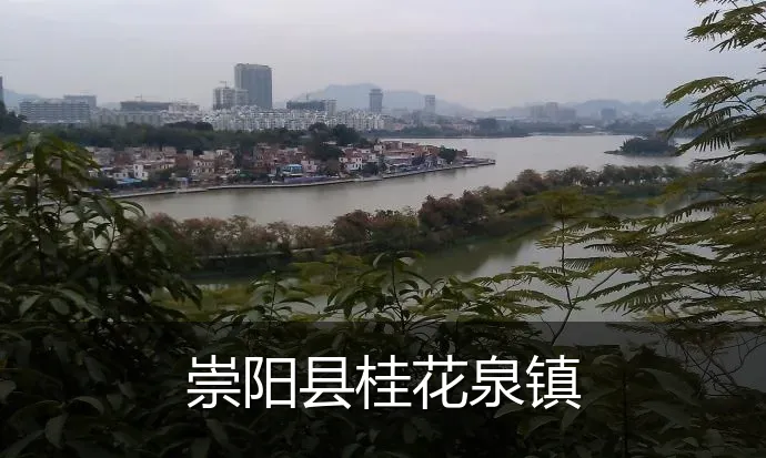 崇阳县桂花泉镇