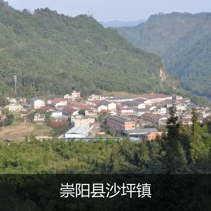 崇阳县沙坪镇